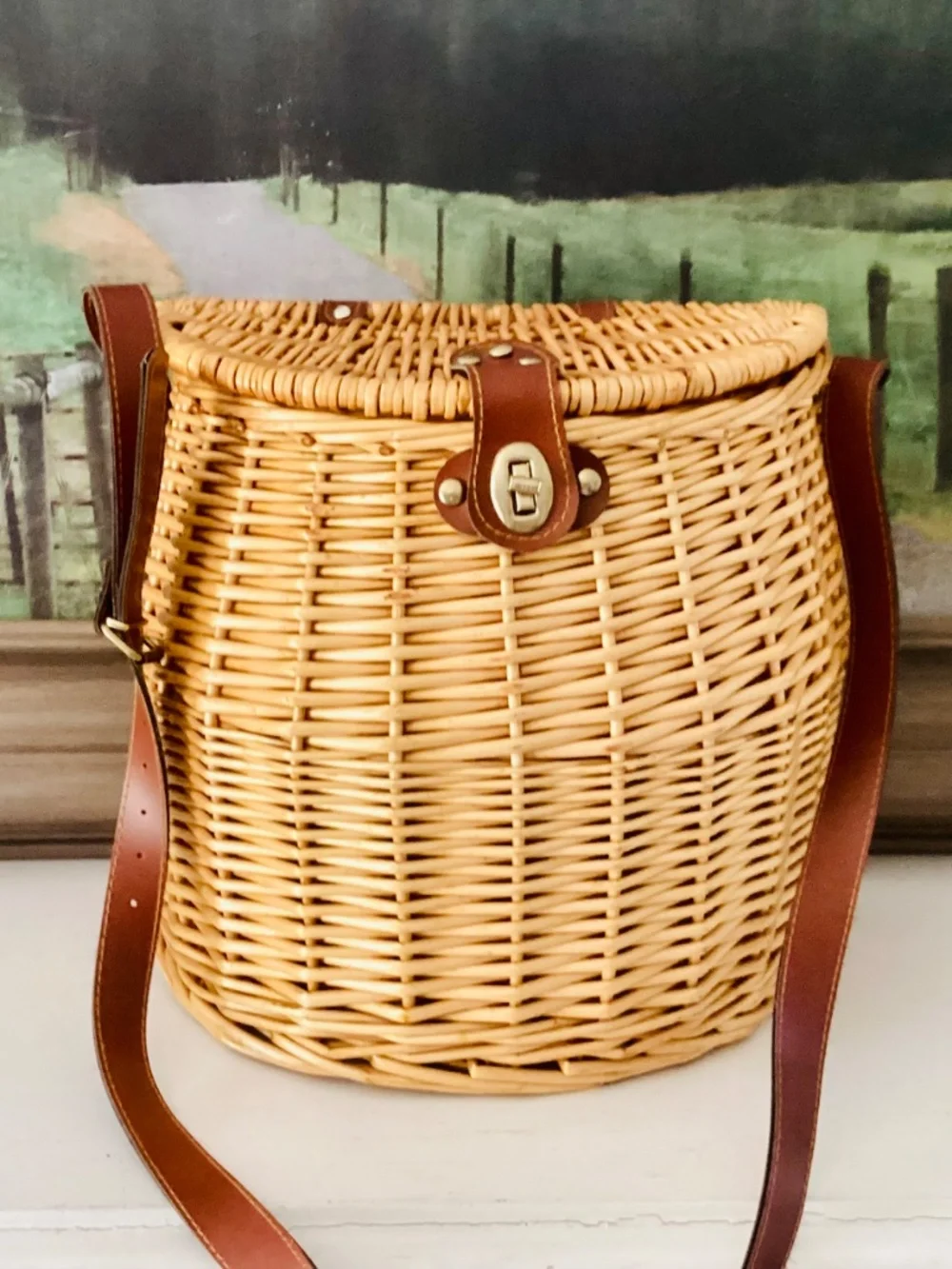 Wicker Mushroom Foraging Basket Crossbody Bag W/lid Shoulder Strap Storage Decor